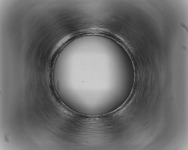 X0000096191410200801180958