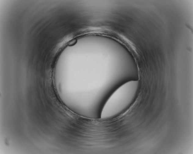 X0000096191411200801180958