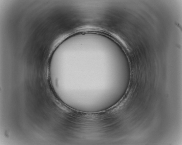 X0000096191413200801180958
