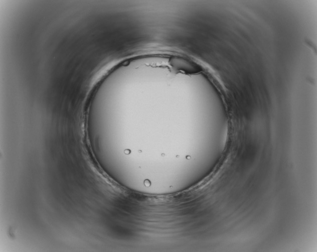 X0000096191415200801180958