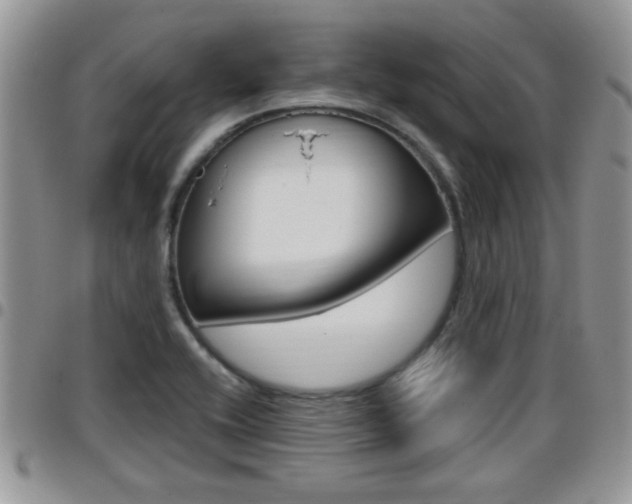X0000096191416200801180958