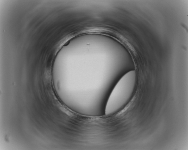 X0000096191417200801180958