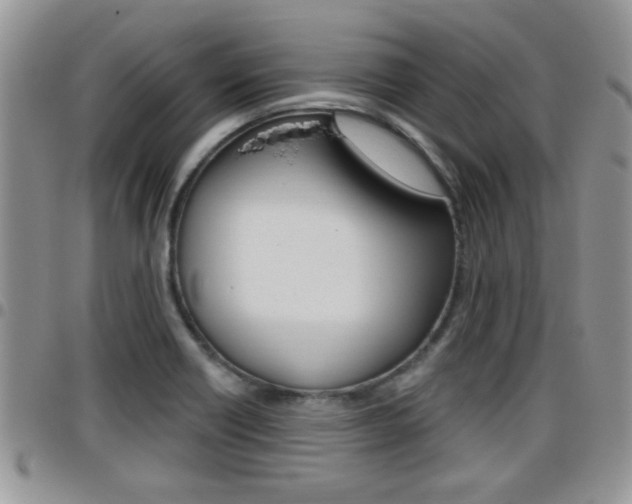 X0000096191418200801180958
