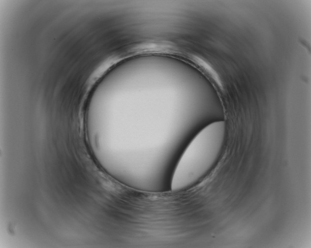 X0000096191419200801180958