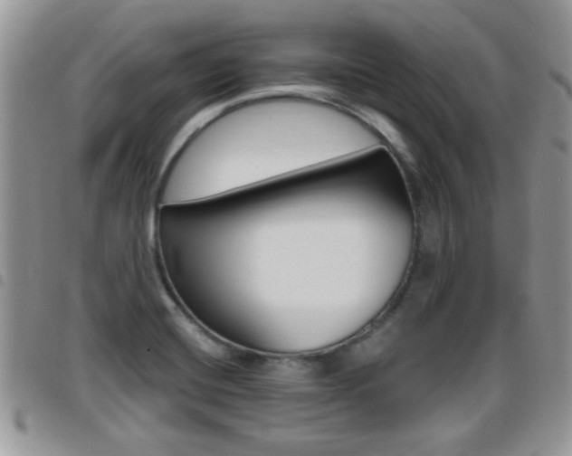 X0000096191420200801180958