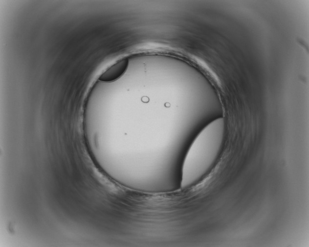 X0000096191421200801180958