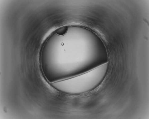 X0000096191422200801180958