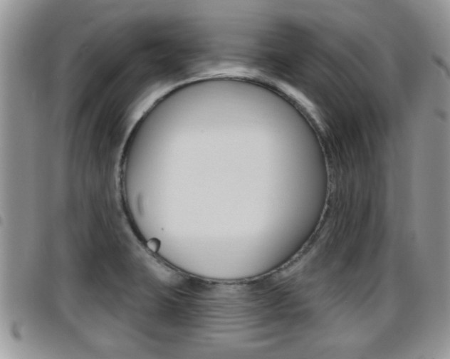 X0000096191423200801180958