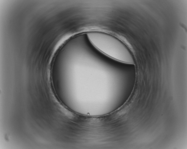X0000096191424200801180958