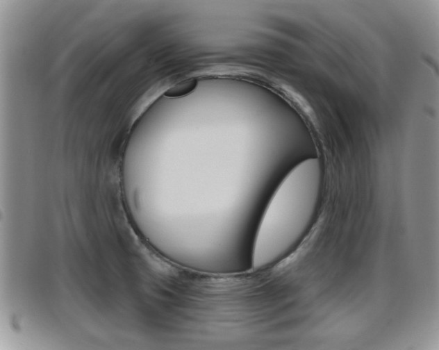 X0000096191425200801180958