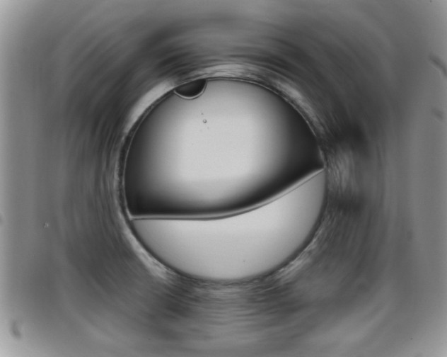 X0000096191426200801180958