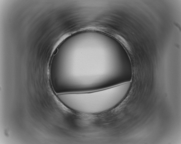 X0000096191428200801180958
