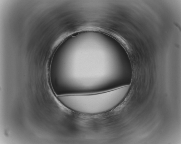 X0000096191430200801180958