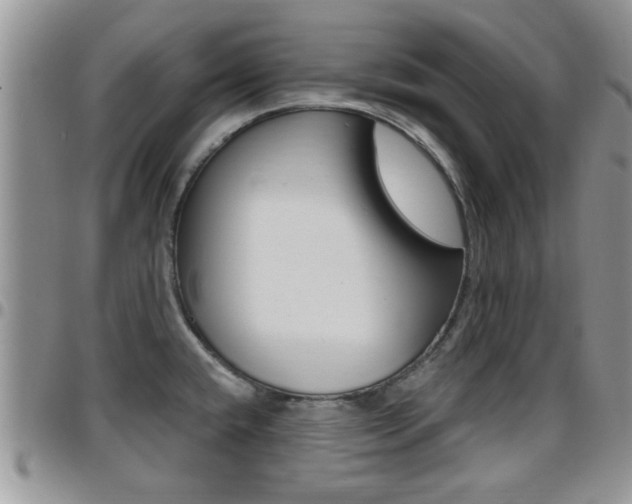 X0000096191432200801180958