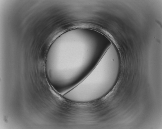 X0000096191433200801180958
