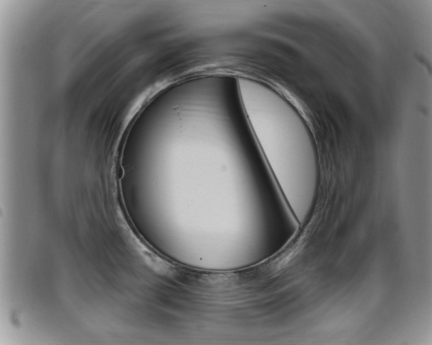 X0000096191434200801180958