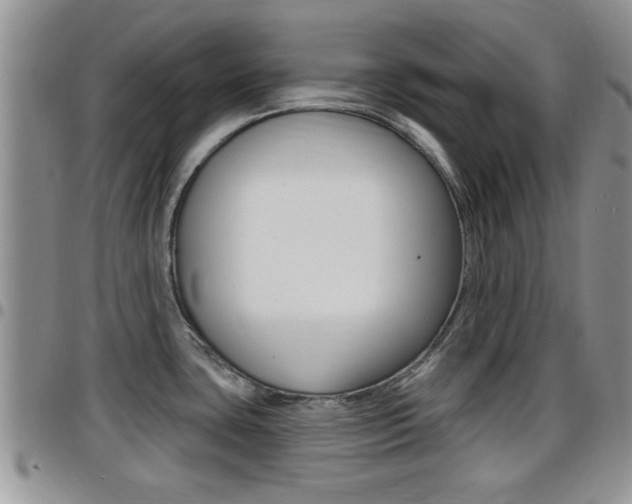 X0000096191435200801180958