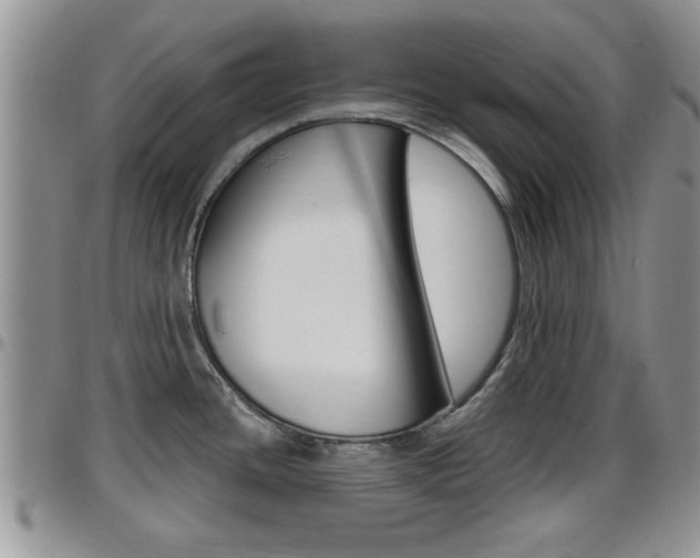 X0000096191436200801180958