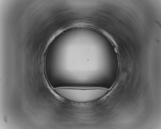 X0000096191437200801180958