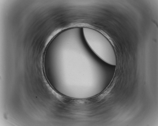 X0000096191438200801180958