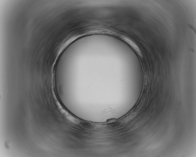 X0000096191439200801180958