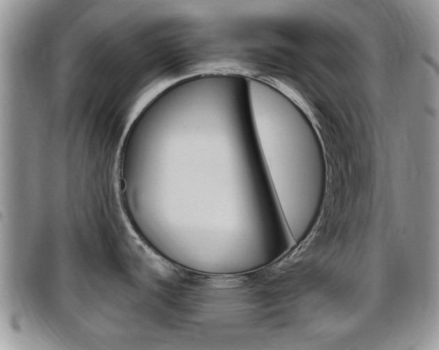 X0000096191440200801180958