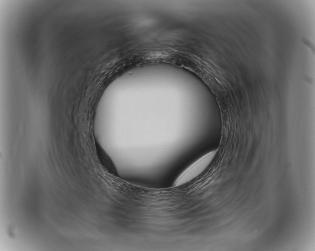 X0000096191441200801180958