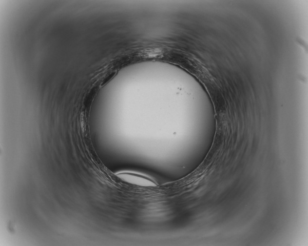 X0000096191442200801180958