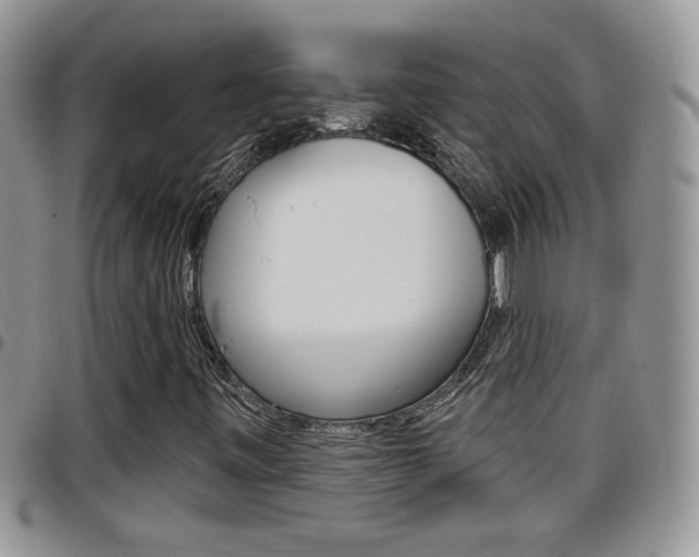 X0000096191443200801180958