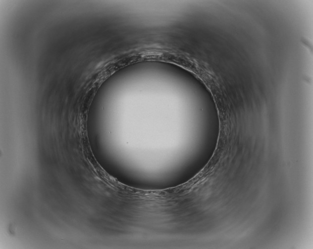 X0000096191445200801180958