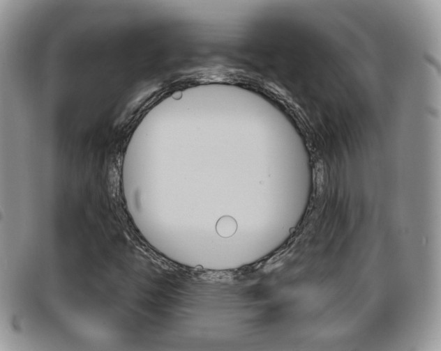 X0000096191446200801180958