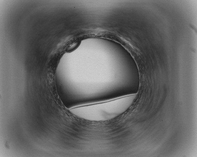 X0000096191447200801180958