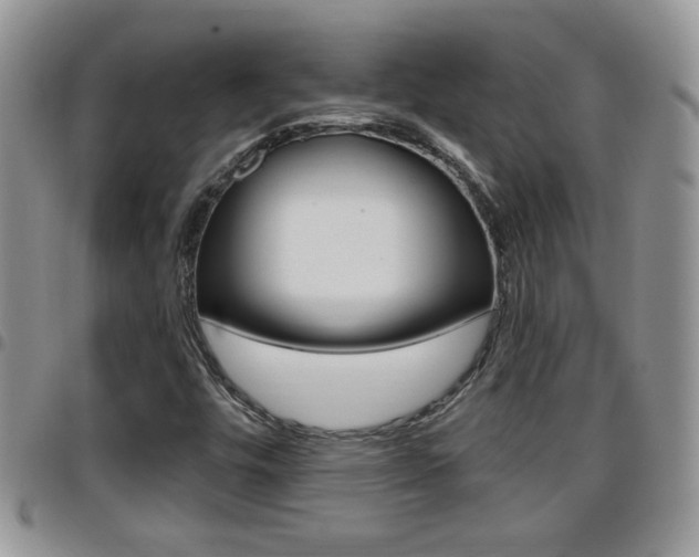 X0000096191448200801180958