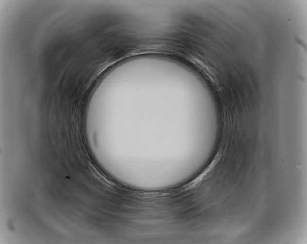 X0000096191449200801180958
