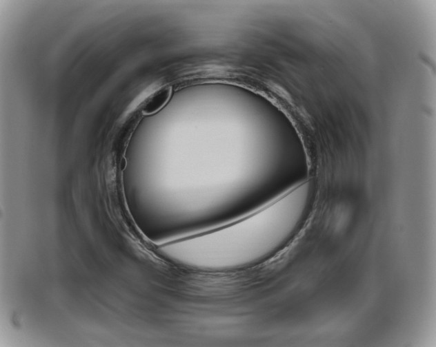 X0000096191450200801180958