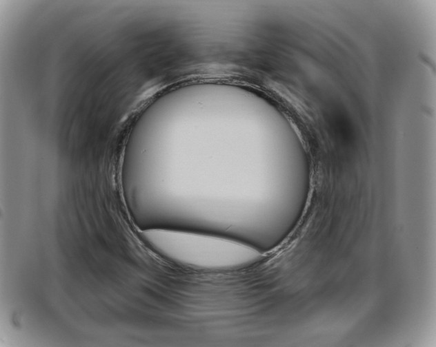 X0000096191451200801180958