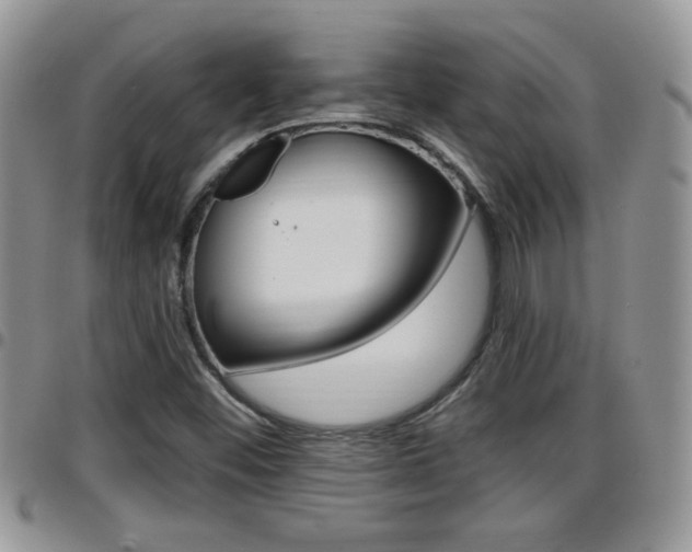 X0000096191452200801180958