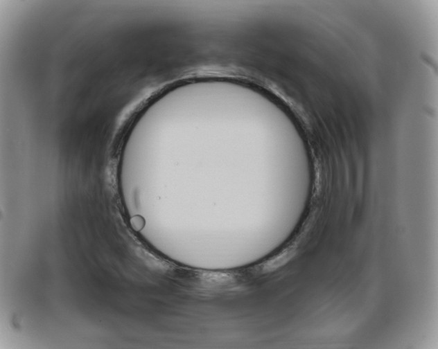 X0000096191454200801180958