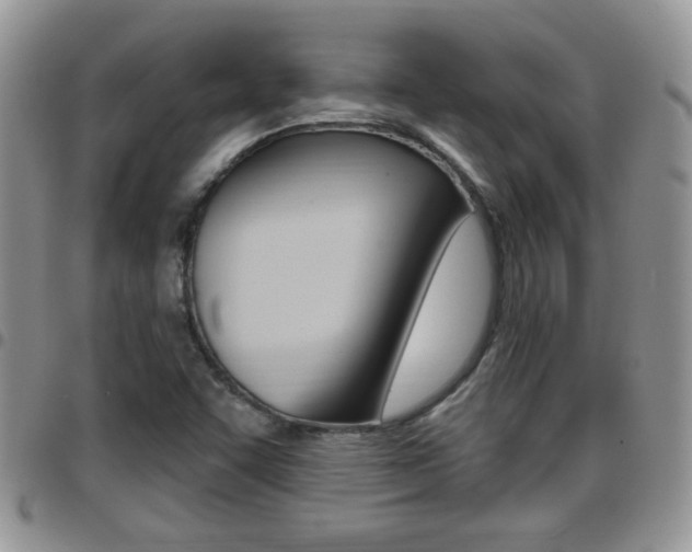X0000096191455200801180958