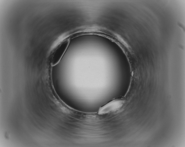 X0000096191456200801180958