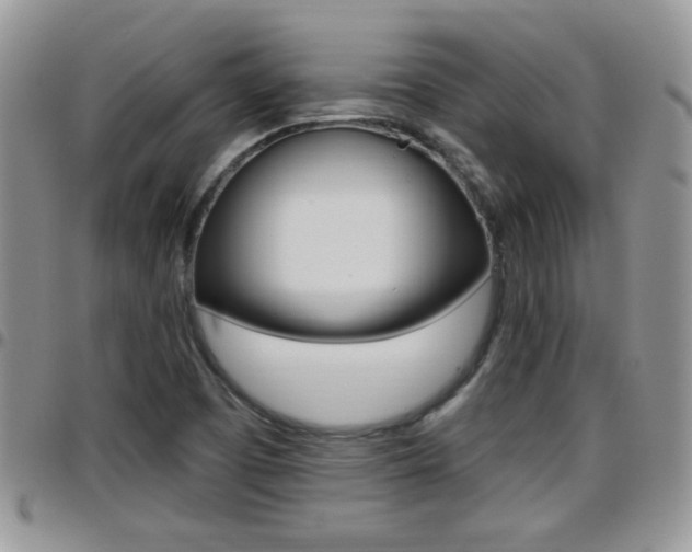 X0000096191457200801180958