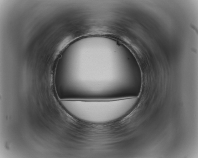 X0000096191459200801180958