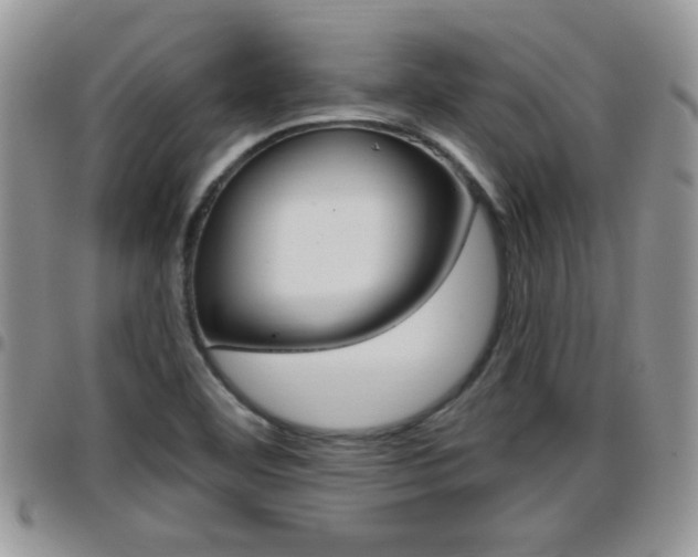 X0000096191460200801180958