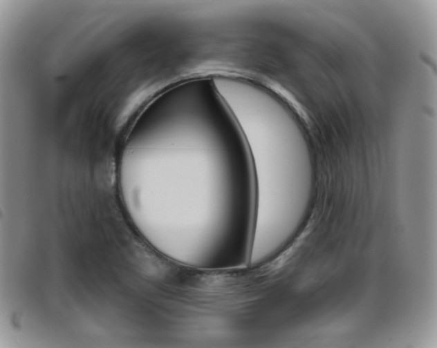X0000096191461200801180958