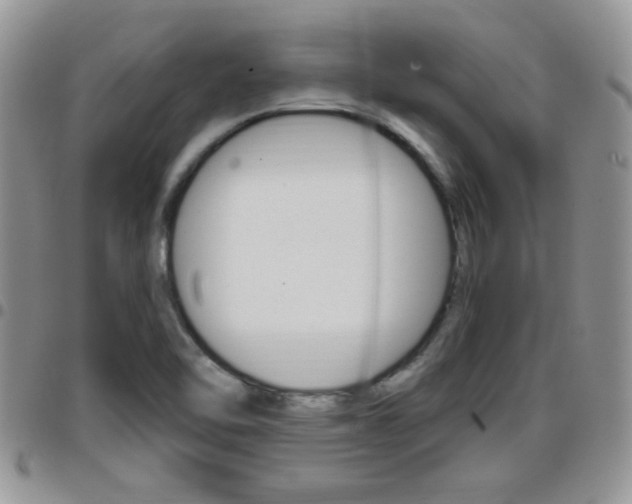 X0000096191462200801180958
