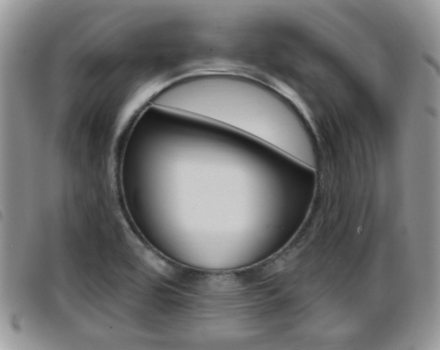 X0000096191464200801180957