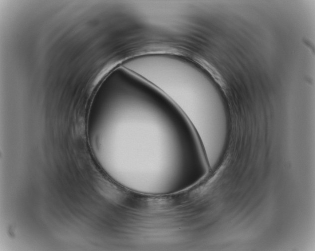X0000096191465200801180957