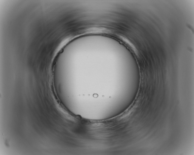 X0000096191467200801180957