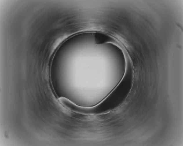 X0000096191468200801180957