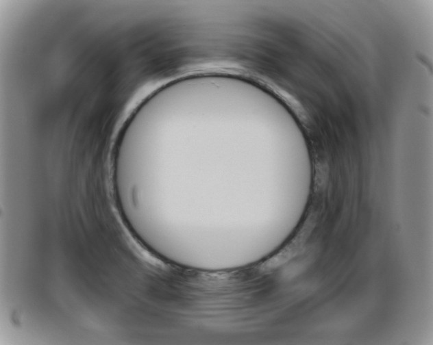X0000096191470200801180957